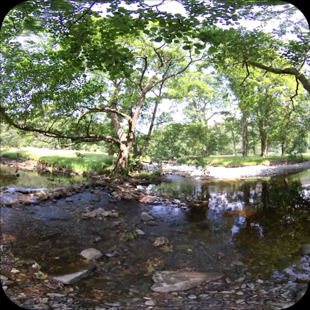 Calming nature environment